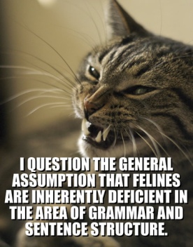 9a87e-grammatically_correct_cat